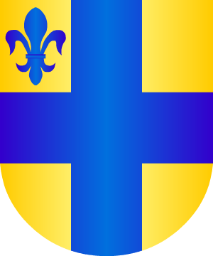ESCUDO ALEATORIO